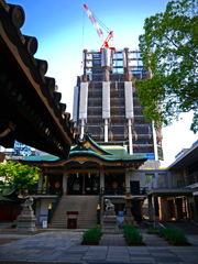 大都会　P1160602zz