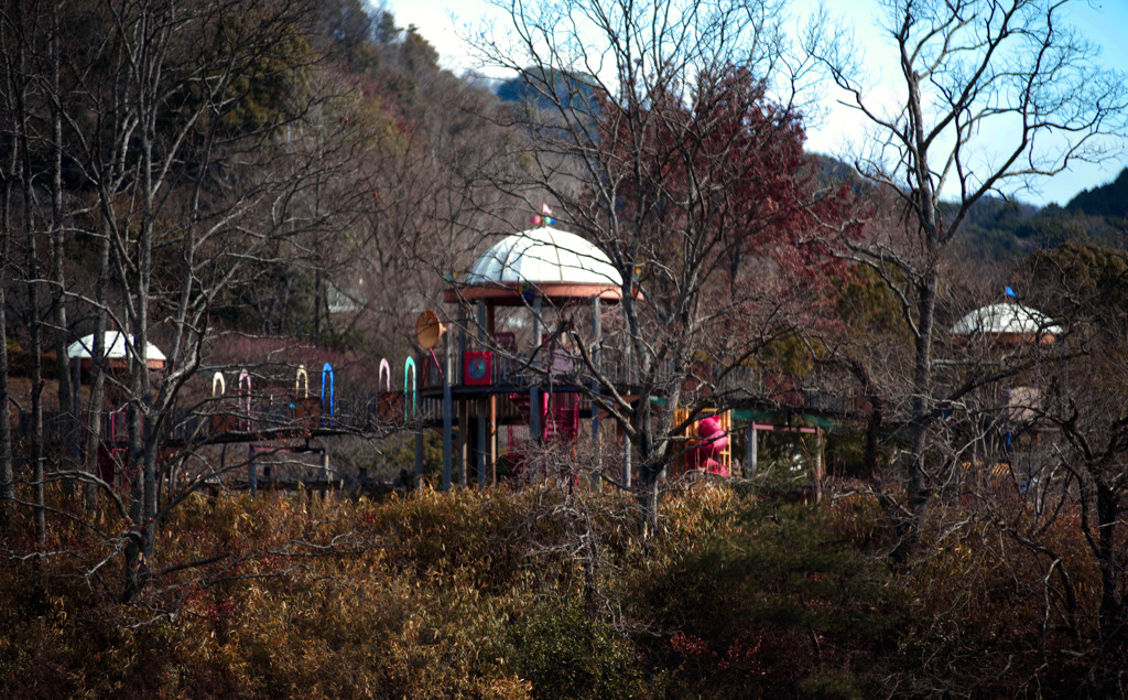 冬枯れ 遊具　IMGP1667zz