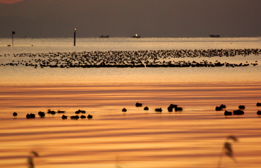 厳冬の湖　IMGP7663zz