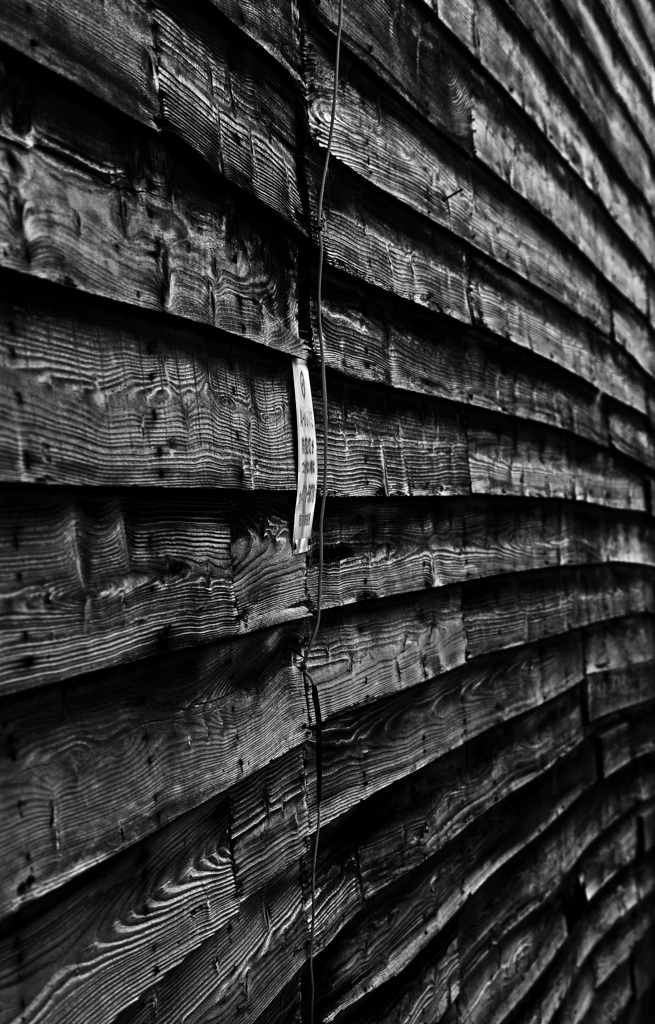 連なり　IMG0168zz