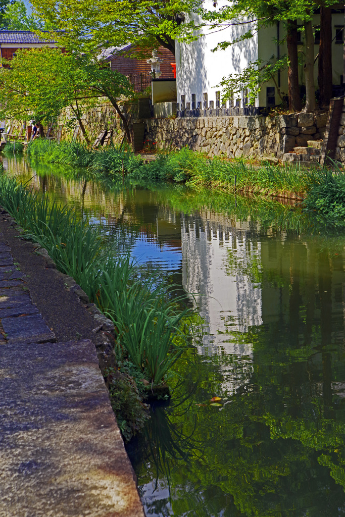 運河沿いの遊歩道　MGP5948zz