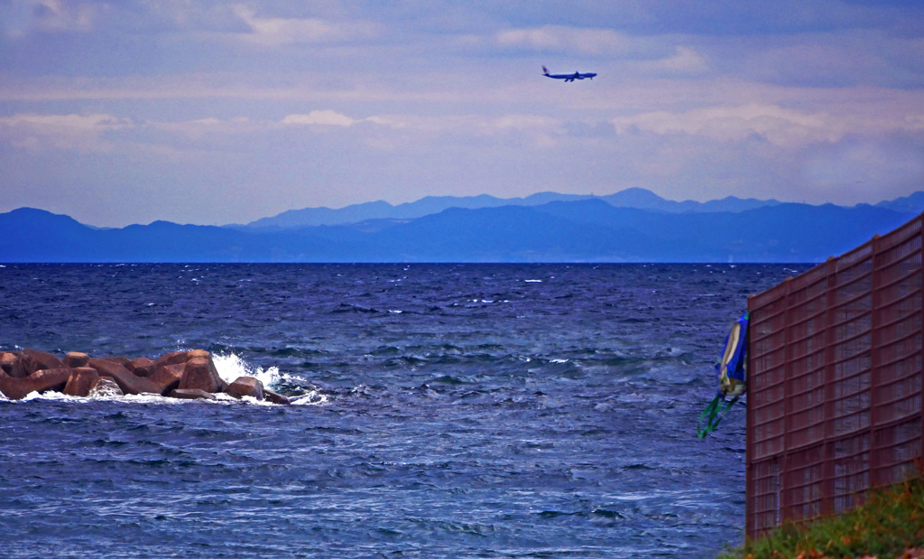 夏の忘れ物　P1240237zz