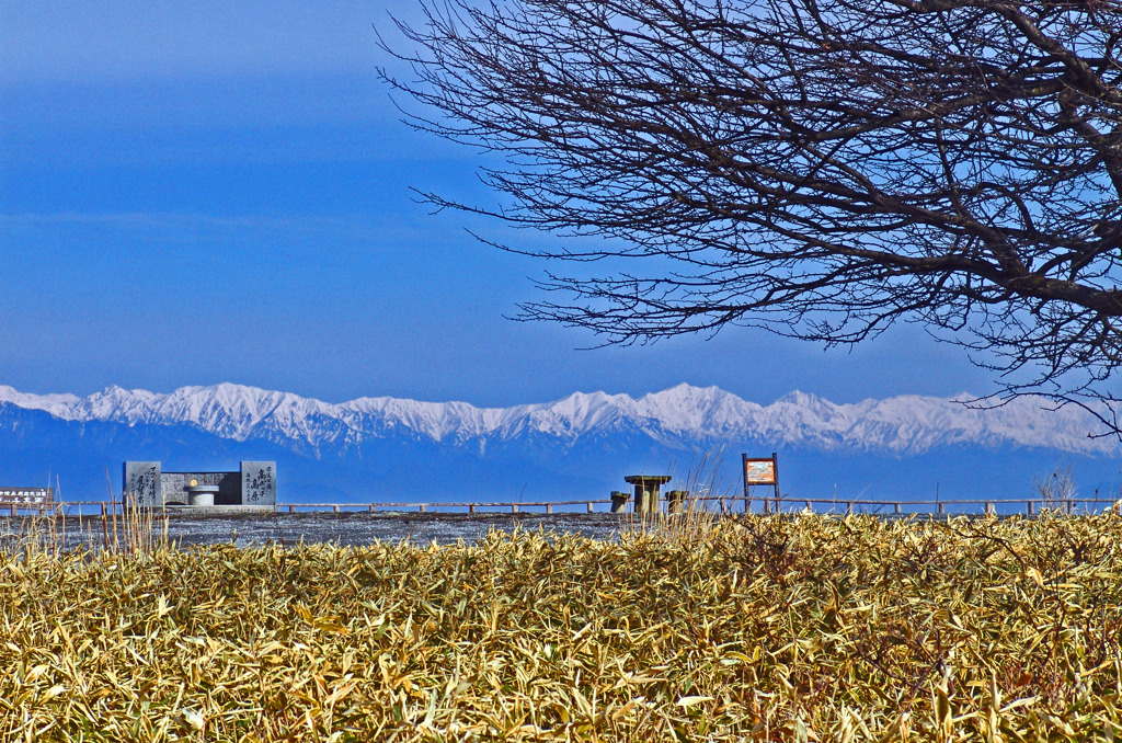 早春の景　SC07935zz