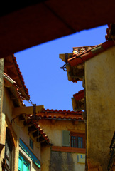 赤瓦の屋根　IMG9272zz