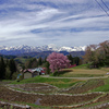 山里の春　IGP8539zz
