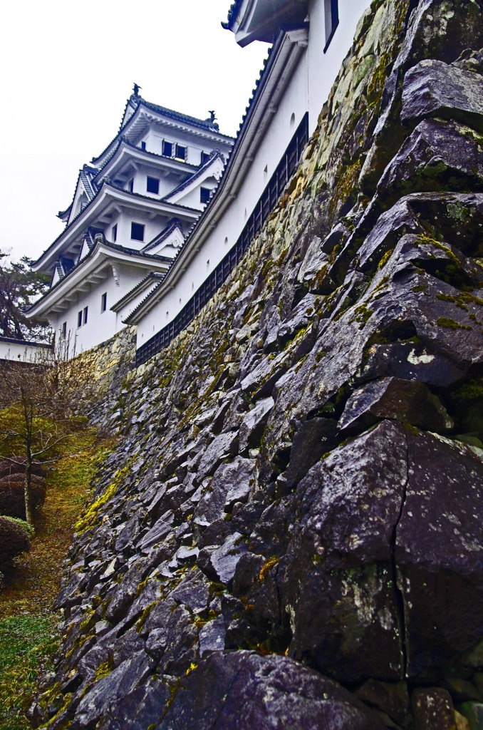 冬の郡上八幡城　_IGP0524zz