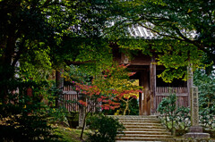 円教寺仁王門　File0486zz