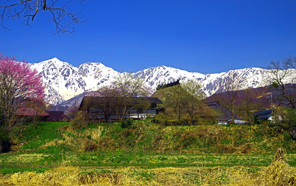 思い出の春景〈里の春〉　　　IMGP2345zz