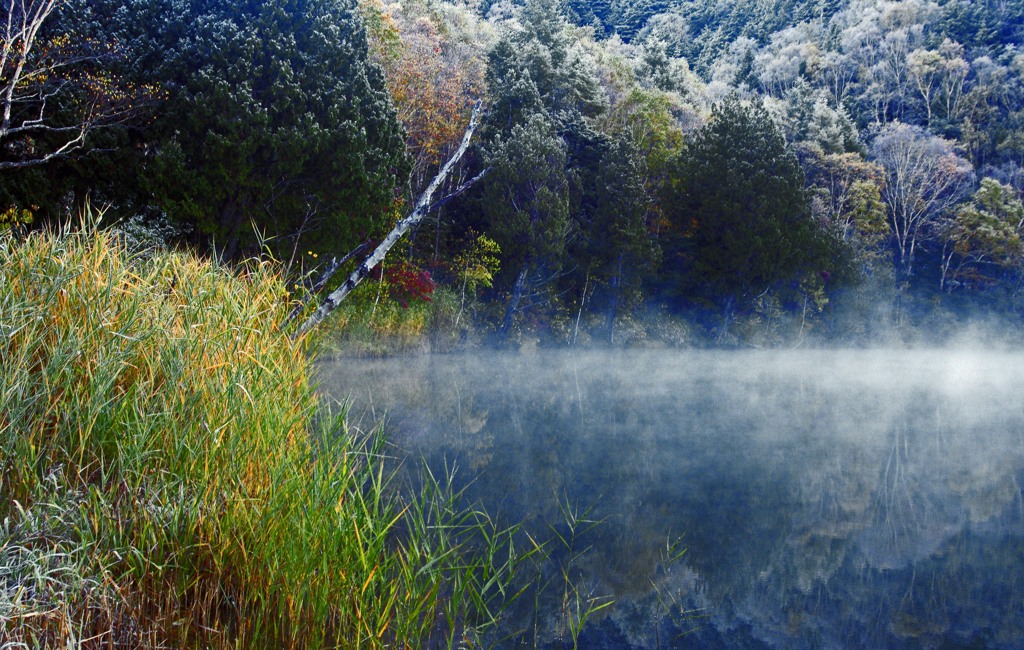 朝靄の池　_IMG8478zz