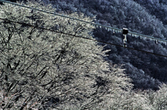 中央本線 贄川駅　IMGP5158zz