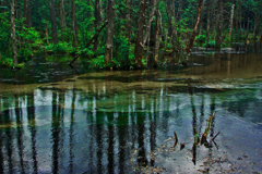 上高地散策 水鏡Ⅱ　IMGP5120zz