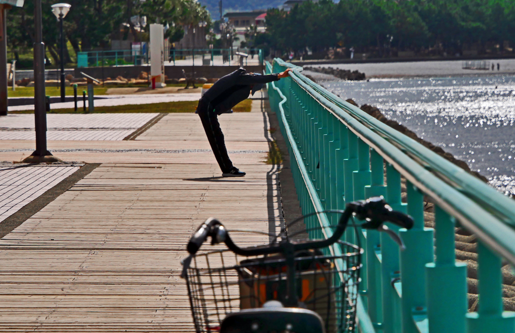 リラックスタイム　P1450533zz