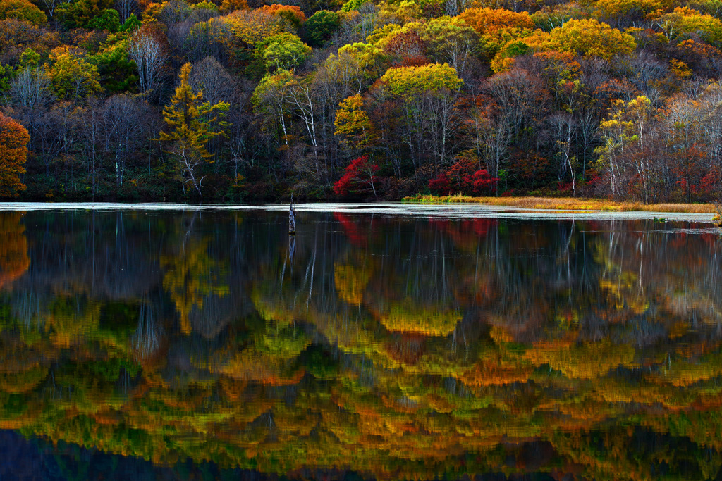 夕映えに燃ゆる　IMGP9641zz