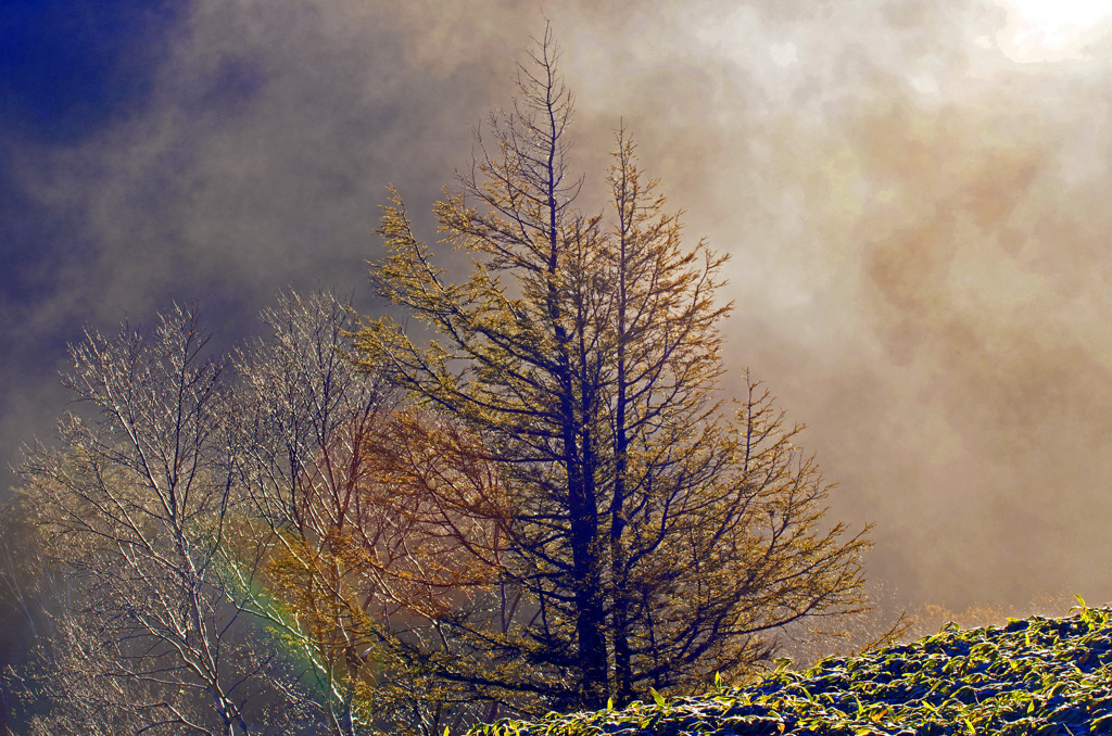 朝射す光　IGP7521z