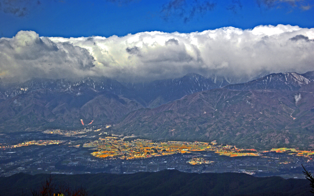 陽の当たる場所　IMGP4513zz