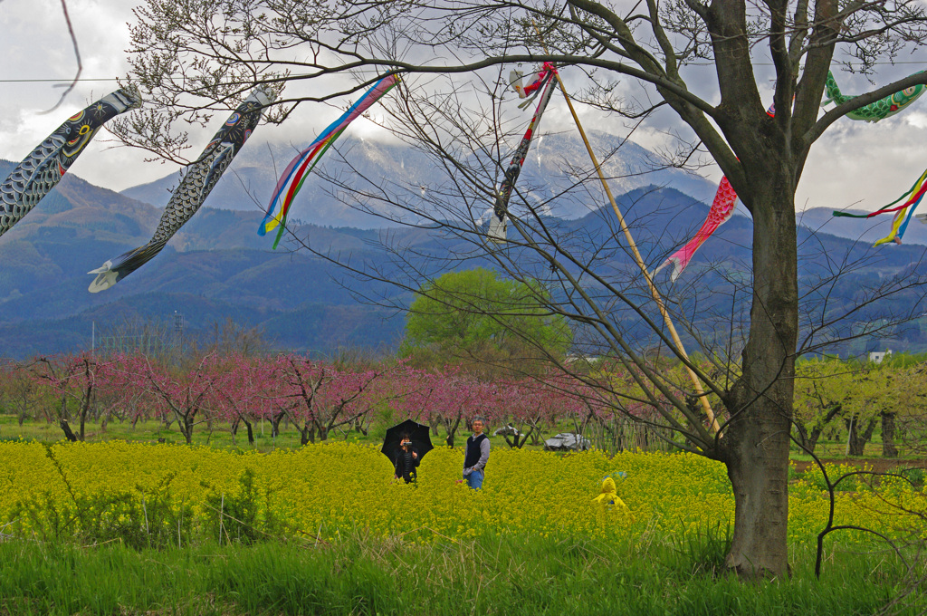 記念写真　_IGP0016zz