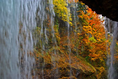 秋をのぞき見裏見の滝　IMGP6155z 