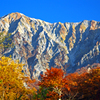 山すそを飾る　IMGP3006