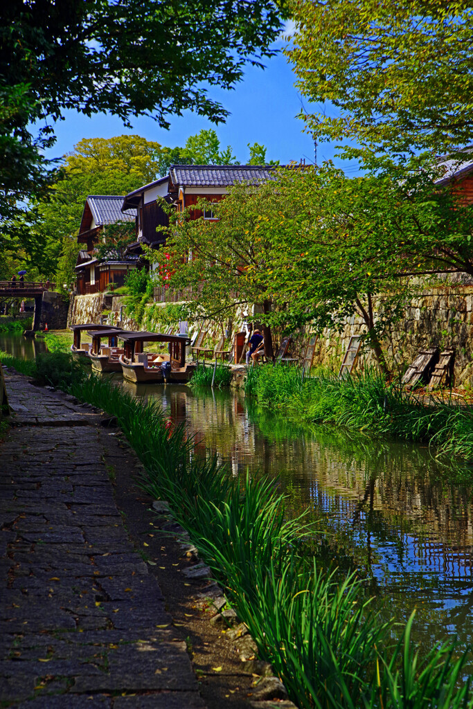 遊歩道　IMGP5950zz