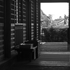 「様こそお参りで」　P1088247zz
