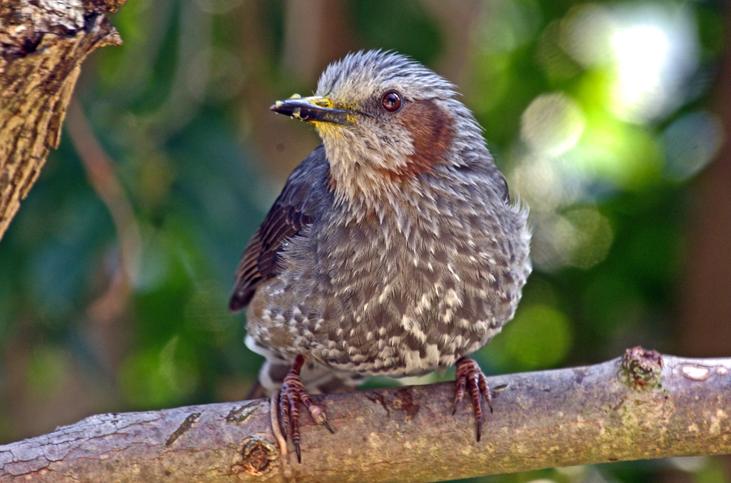 満腹 満足　IMGP3447zz
