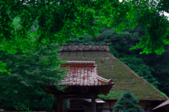 津和野 永明寺本堂　IMGP5125zz