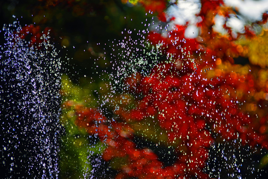 噴水と紅葉　IMGP0201zz