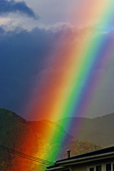 虹 rainbow　IMGP3591zz