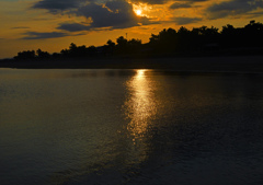 夜明けの海　P1090635zz