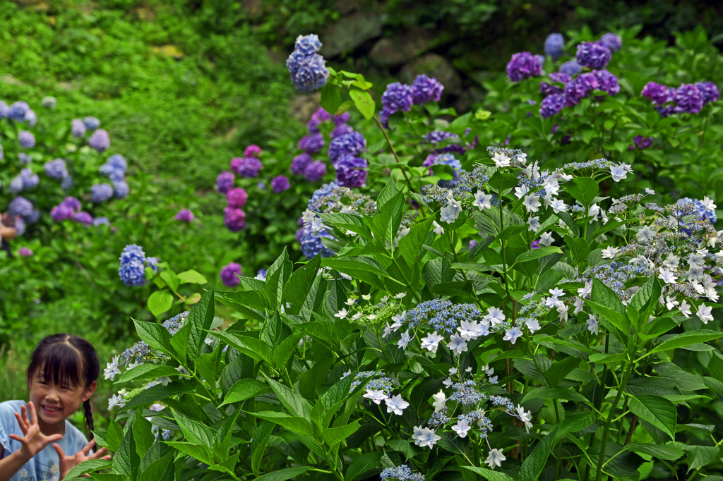 和歌山城「鶴の渓」にて 肆　P1087440zz