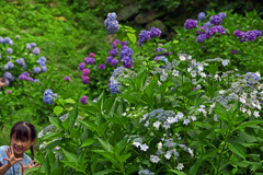 和歌山城「鶴の渓」にて 肆　P1087440zz