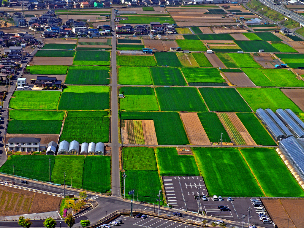 パッチワーク　DSC00287zz