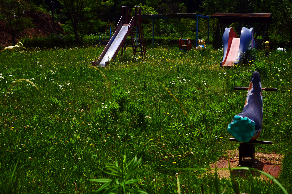 時の移ろい　P1200166zz