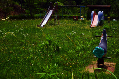 時の移ろい　P1200166zz