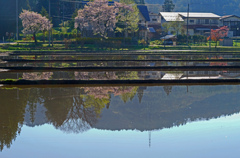 田水張る頃　P1074885zz