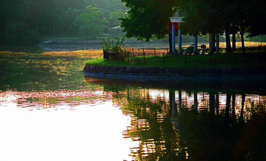 清々しい朝の景　IMGP9151zz