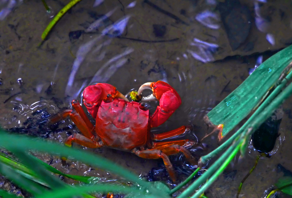 朝のお食事　P1650580zz