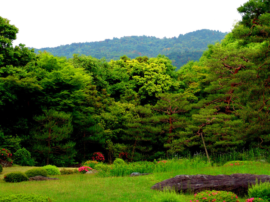 五月 無鄰菴　DSC00408zz