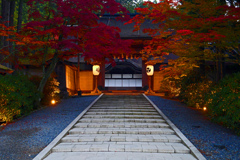 高野山金剛峰寺の朝　P1057846zz