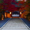 高野山金剛峰寺の朝　P1057846zz