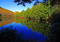 錦繍の三角池　P1113730zz