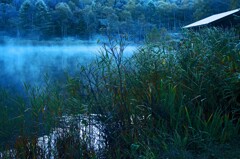 朝靄の木戸池Ⅱ　_IMG8462