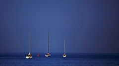 春の海　P1100540zz