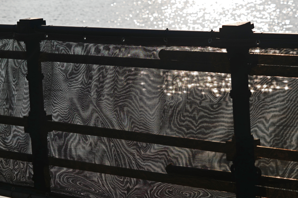 干渉模様P1440553zz