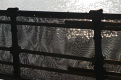 干渉模様P1440553zz