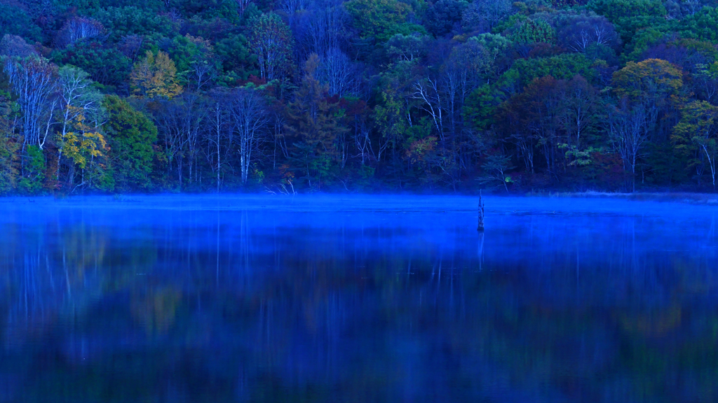 蒼い刻　P1113976zz