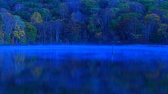 蒼い刻 P1113976zz 蒼い刻 P1113976zz