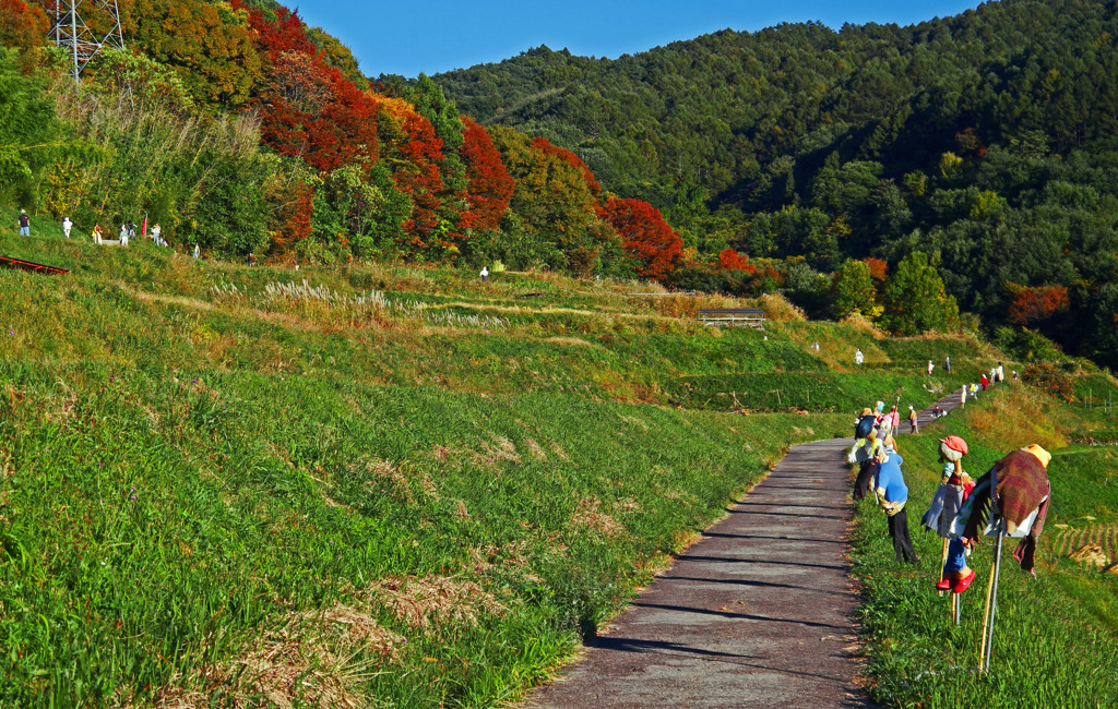 畔に立つ人　P1260789zz