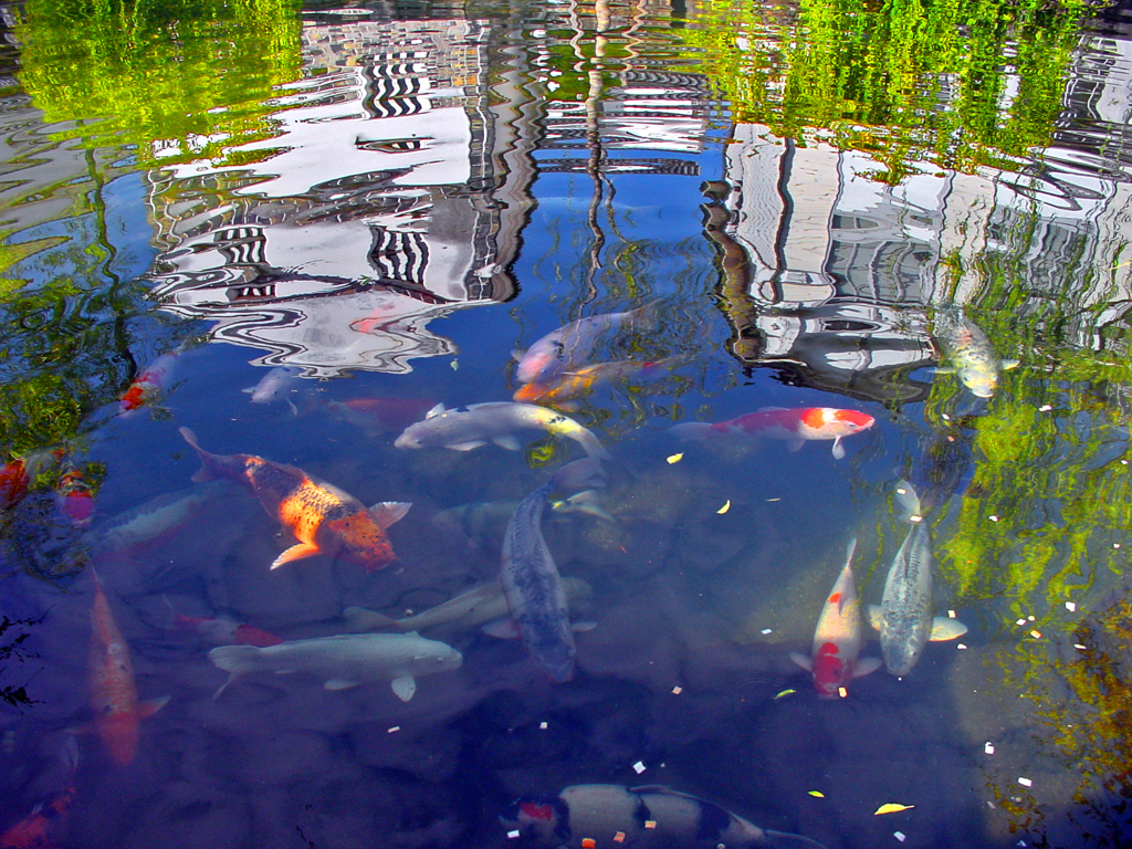 揺らぎ　DSC00006zz