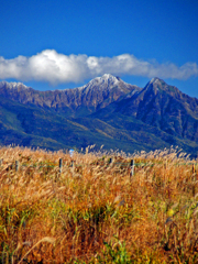 弥生三月八ヶ岳　0792z